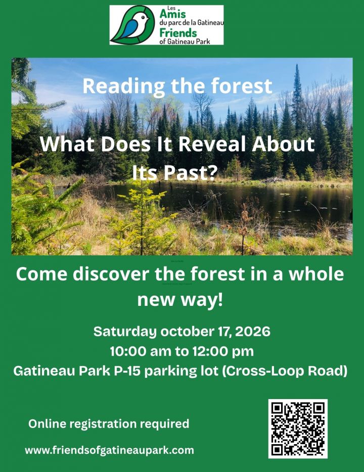 Forest reading - How has the past shaped today’s landscape?