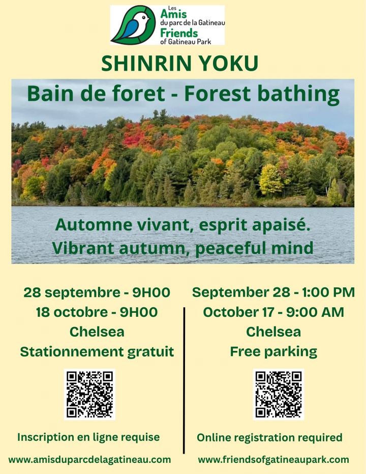 Shinrin Yoku - Forest bathing
