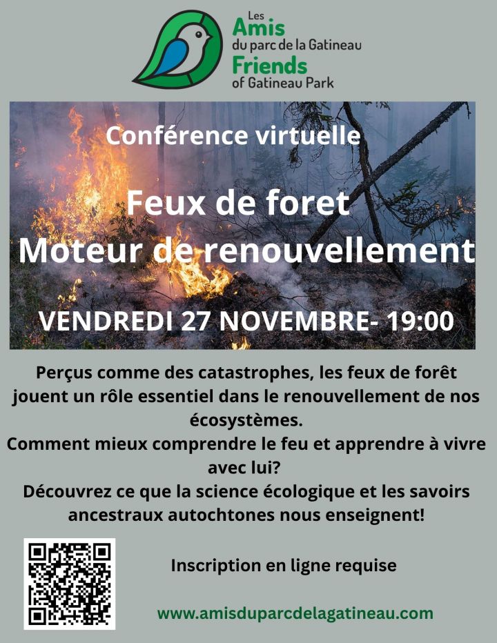Feu de forêt  Moteur de renouvellement