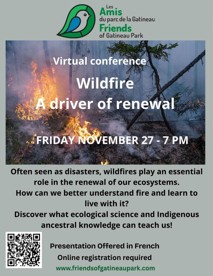 Wildfire ​A Driver of Renewal