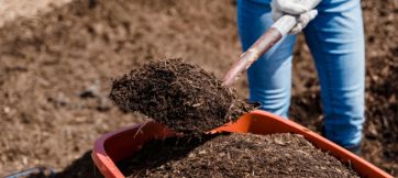Distribution de compost