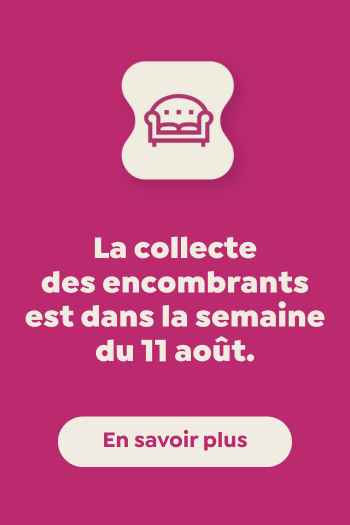 WEB_collectes-encombrants_350x525px_FR